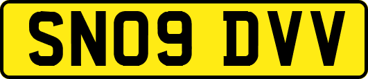 SN09DVV