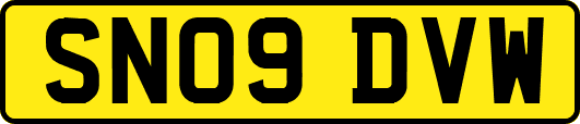 SN09DVW