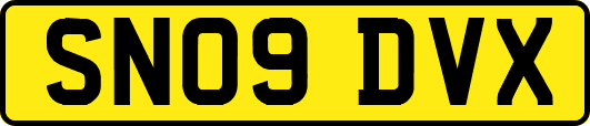 SN09DVX