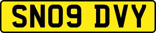 SN09DVY