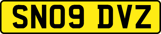 SN09DVZ