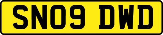 SN09DWD