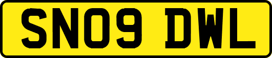SN09DWL