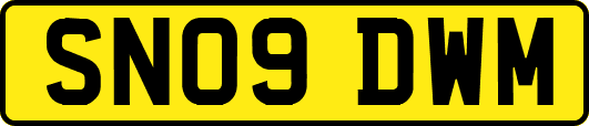 SN09DWM