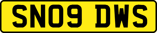 SN09DWS