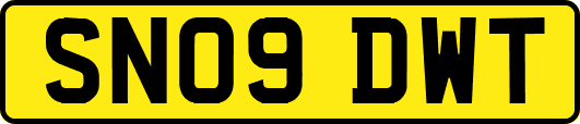 SN09DWT