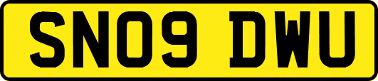 SN09DWU
