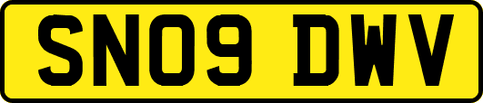 SN09DWV