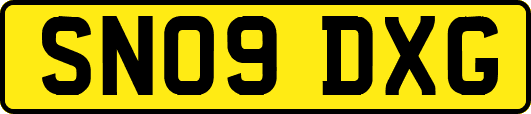 SN09DXG