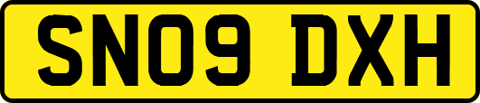 SN09DXH