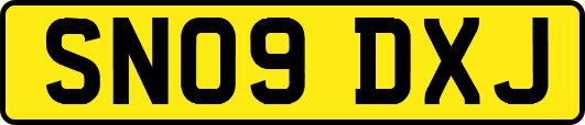 SN09DXJ