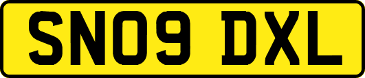 SN09DXL
