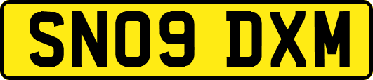 SN09DXM