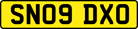 SN09DXO