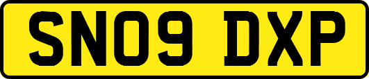 SN09DXP
