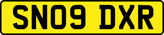 SN09DXR