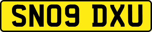 SN09DXU