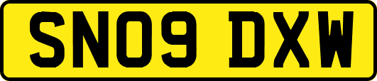 SN09DXW