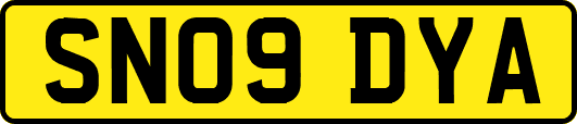 SN09DYA