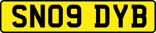 SN09DYB