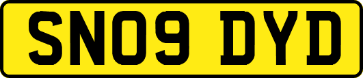 SN09DYD