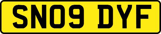 SN09DYF