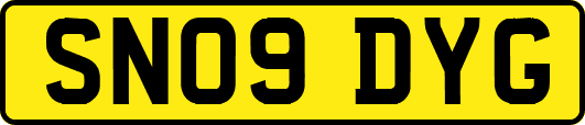 SN09DYG