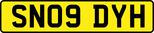 SN09DYH