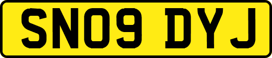 SN09DYJ