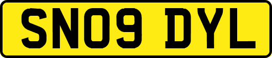 SN09DYL