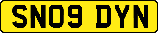 SN09DYN