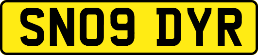 SN09DYR