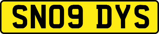 SN09DYS
