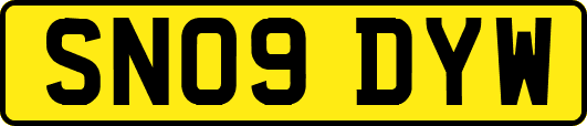 SN09DYW