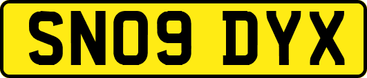 SN09DYX