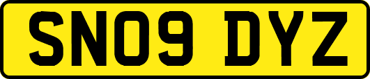 SN09DYZ