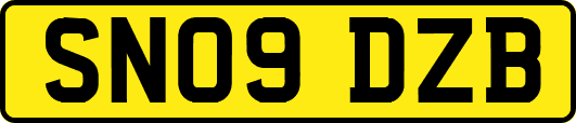 SN09DZB