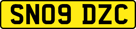 SN09DZC
