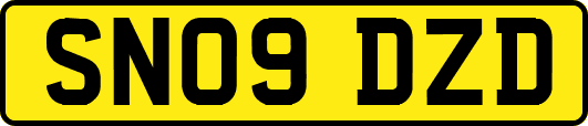 SN09DZD