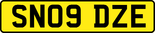 SN09DZE
