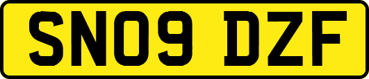 SN09DZF