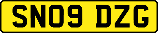 SN09DZG