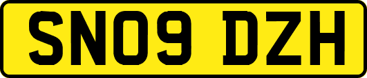 SN09DZH