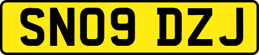 SN09DZJ