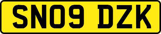 SN09DZK