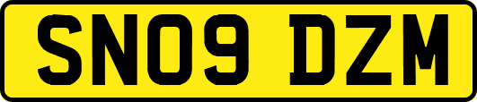 SN09DZM