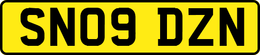 SN09DZN
