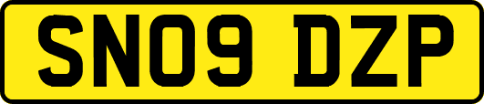 SN09DZP