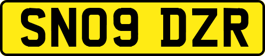 SN09DZR