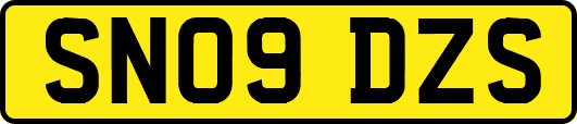 SN09DZS